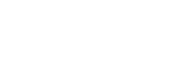 logo light